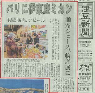 伊豆新聞